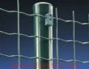 Holland Mesh Fence